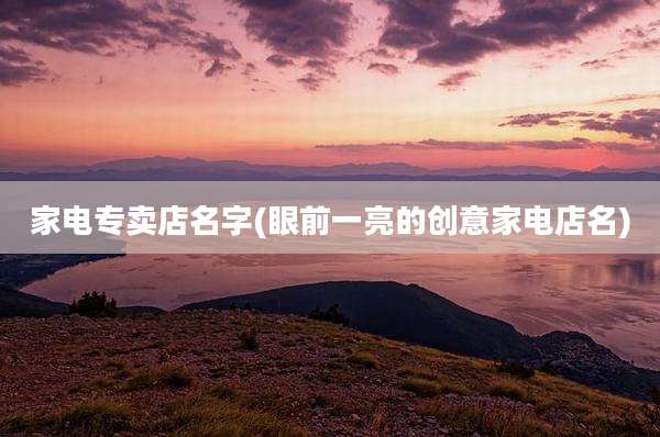 家电专卖店名字(眼前一亮的创意家电店名)