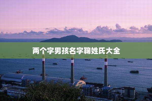 两个字男孩名字鞠姓氏大全