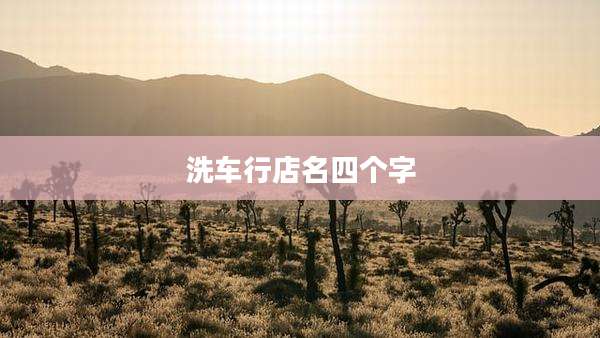 洗车行店名四个字