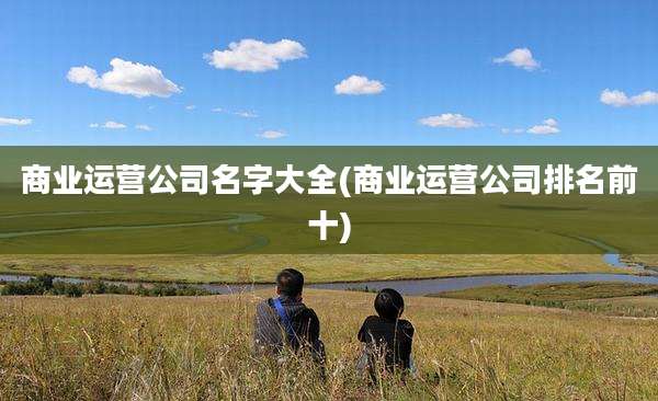商业运营公司名字大全(商业运营公司排名前十)