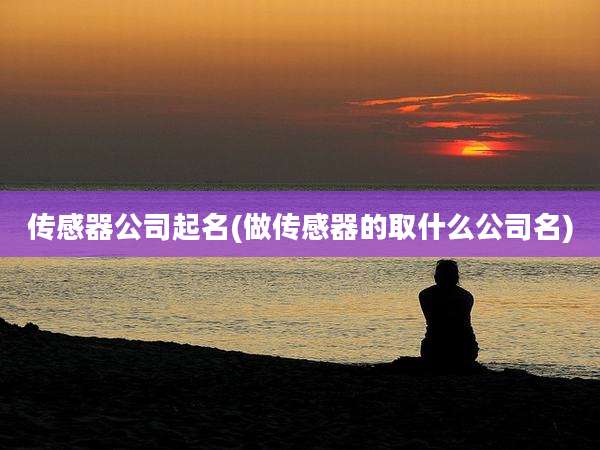 传感器公司起名(做传感器的取什么公司名)