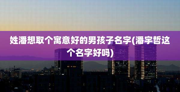 姓潘想取个寓意好的男孩子名字(潘宇哲这个名字好吗)