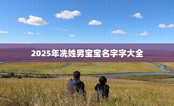 2025年冼姓男宝宝名字字大全