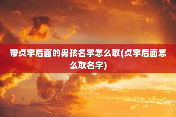 带贞字后面的男孩名字怎么取(贞字后面怎么取名字)