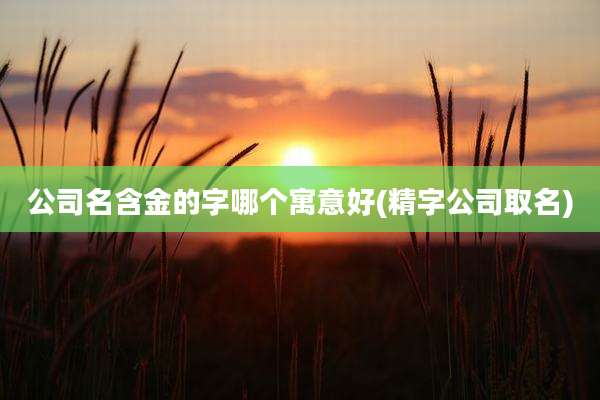 公司名含金的字哪个寓意好(精字公司取名)