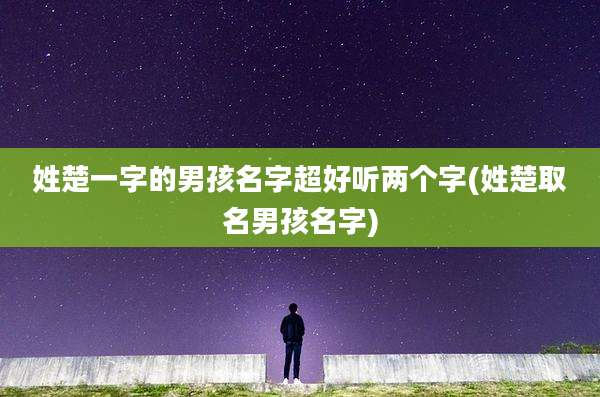 姓楚一字的男孩名字超好听两个字(姓楚取名男孩名字)