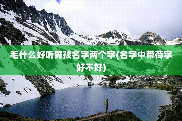 毛什么好听男孩名字两个字(名字中带荷字好不好)