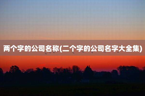 两个字的公司名称(二个字的公司名字大全集)