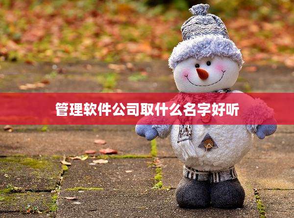 管理软件公司取什么名字好听