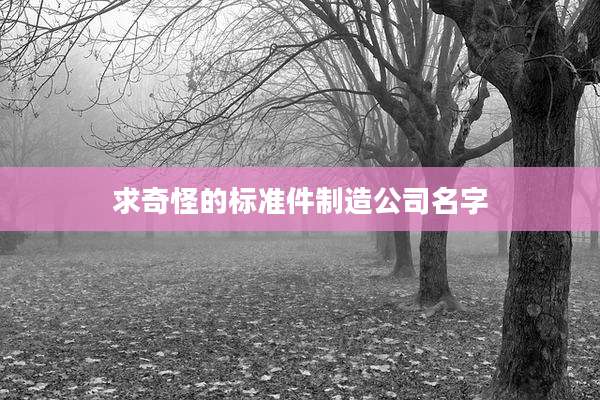 求奇怪的标准件制造公司名字