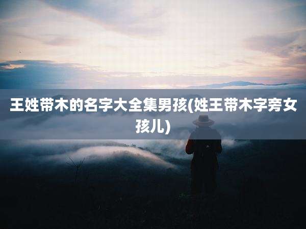 王姓带木的名字大全集男孩(姓王带木字旁女孩儿)