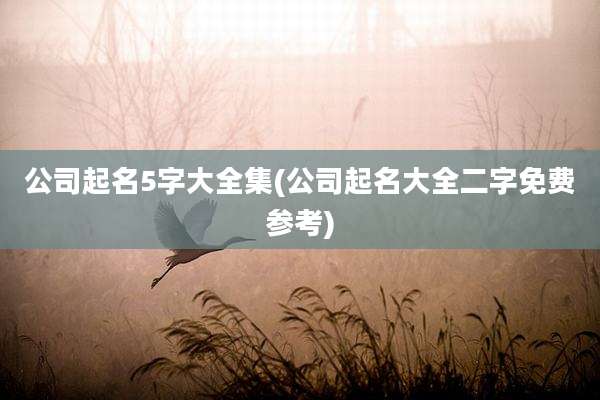 公司起名5字大全集(公司起名大全二字免费参考)
