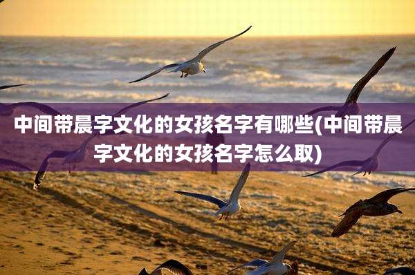 中间带晨字文化的女孩名字有哪些(中间带晨字文化的女孩名字怎么取)
