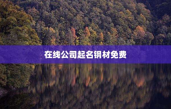 在线公司起名钢材免费