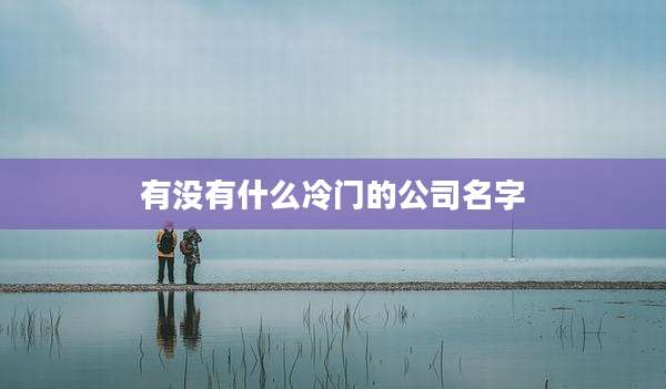 有没有什么冷门的公司名字