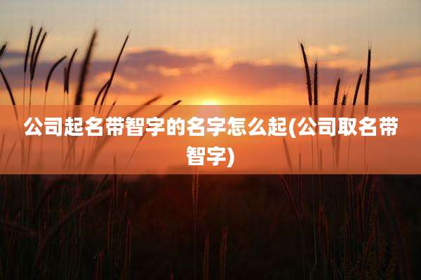 公司起名带智字的名字怎么起(公司取名带智字)