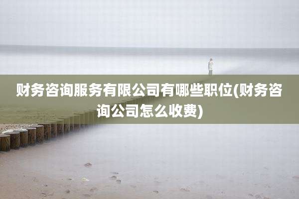 财务咨询服务有限公司有哪些职位(财务咨询公司怎么收费)