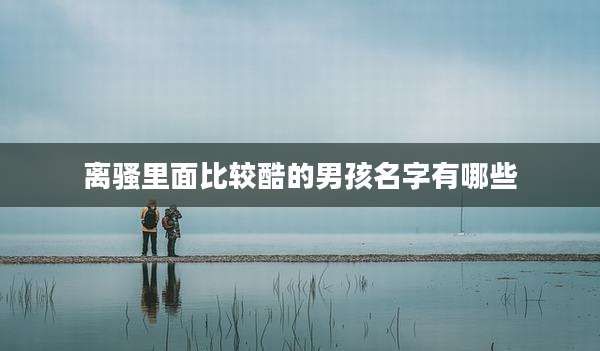 离骚里面比较酷的男孩名字有哪些