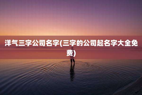 洋气三字公司名字(三字的公司起名字大全免费)