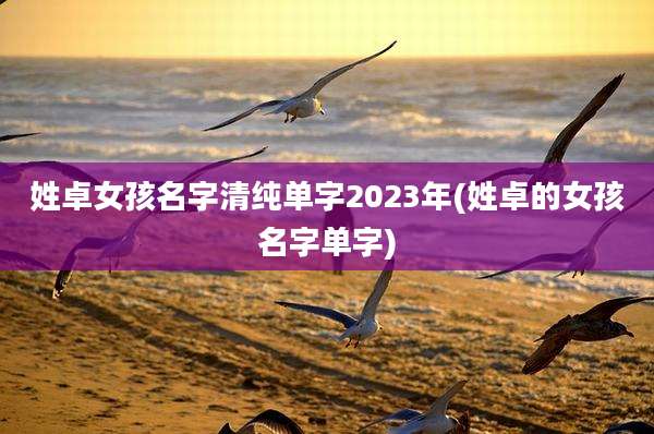 姓卓女孩名字清纯单字2023年(姓卓的女孩名字单字)