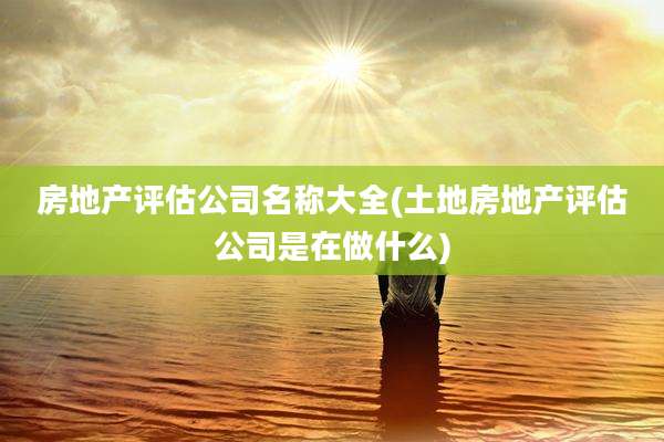 房地产评估公司名称大全(土地房地产评估公司是在做什么)