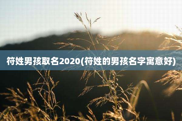 符姓男孩取名2020(符姓的男孩名字寓意好)