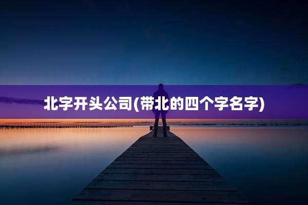 北字开头公司(带北的四个字名字)