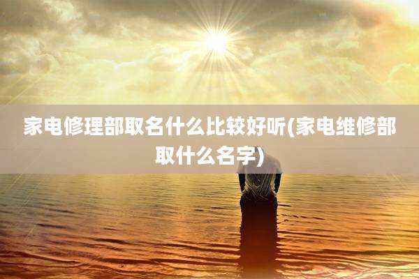 家电修理部取名什么比较好听(家电维修部取什么名字)
