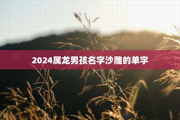 2024属龙男孩名字沙雕的单字
