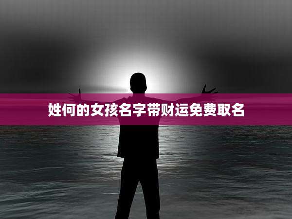 姓何的女孩名字带财运免费取名