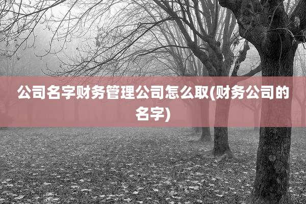 公司名字财务管理公司怎么取(财务公司的名字)