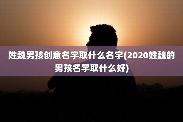 姓魏男孩创意名字取什么名字(2020姓魏的男孩名字取什么好)