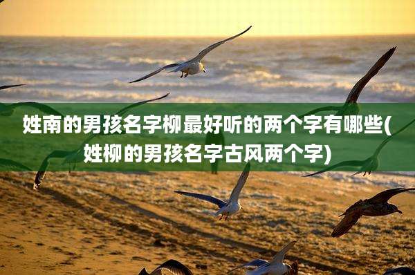 姓南的男孩名字柳最好听的两个字有哪些(姓柳的男孩名字古风两个字)