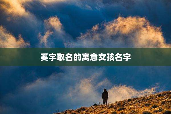 奚字取名的寓意女孩名字