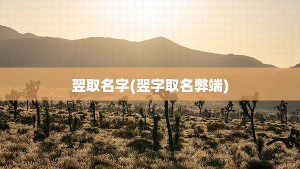 翌取名字(翌字取名弊端)