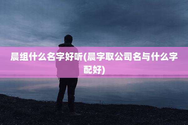 晨组什么名字好听(晨字取公司名与什么字配好)