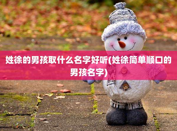 姓徐的男孩取什么名字好听(姓徐简单顺口的男孩名字)