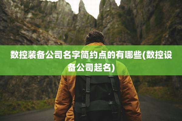 数控装备公司名字简约点的有哪些(数控设备公司起名)