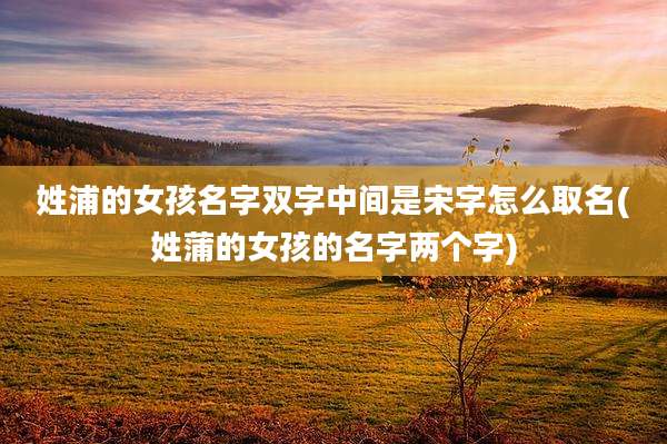姓浦的女孩名字双字中间是宋字怎么取名(姓蒲的女孩的名字两个字)