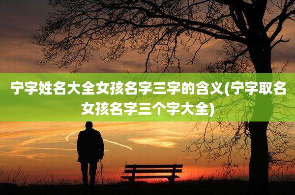 宁字姓名大全女孩名字三字的含义(宁字取名女孩名字三个字大全)