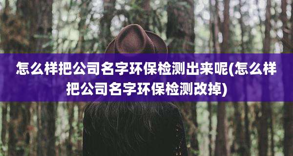 怎么样把公司名字环保检测出来呢(怎么样把公司名字环保检测改掉)