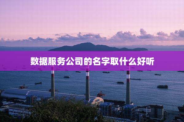 数据服务公司的名字取什么好听