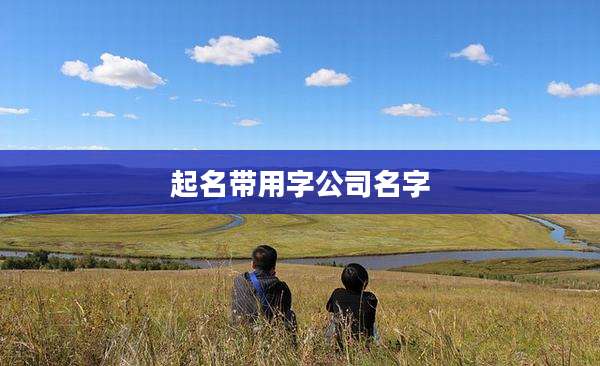 起名带用字公司名字