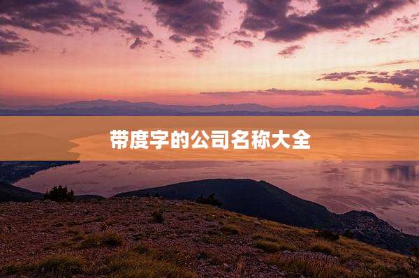 带度字的公司名称大全
