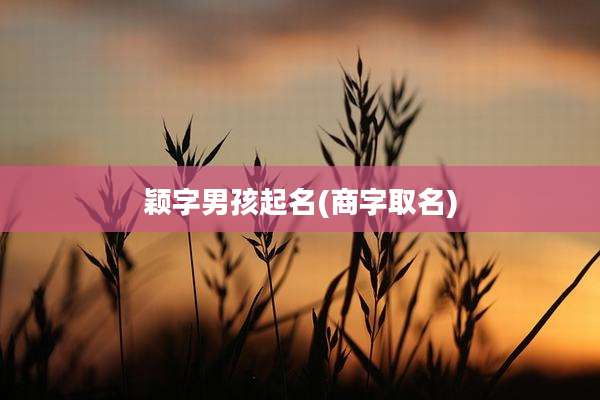 颖字男孩起名(商字取名)