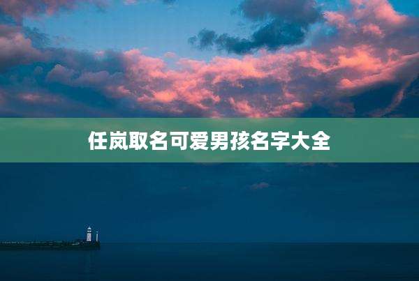 任岚取名可爱男孩名字大全