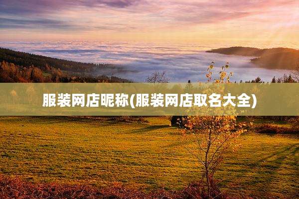 服装网店昵称(服装网店取名大全)