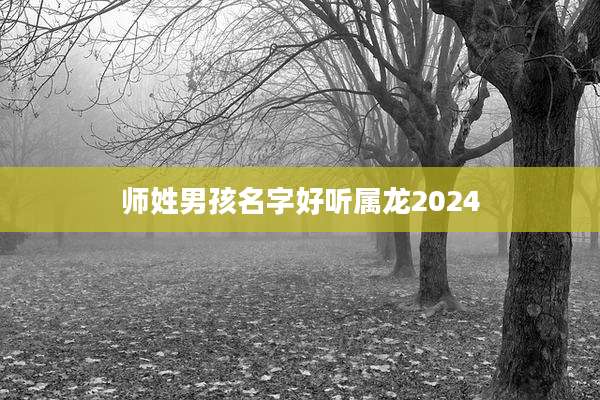 师姓男孩名字好听属龙2024