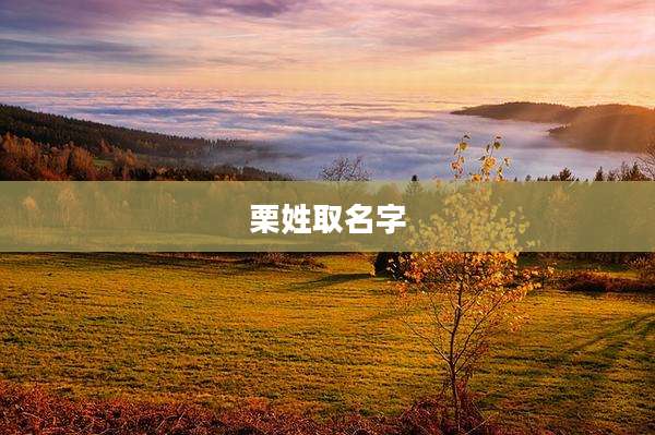 栗姓取名字