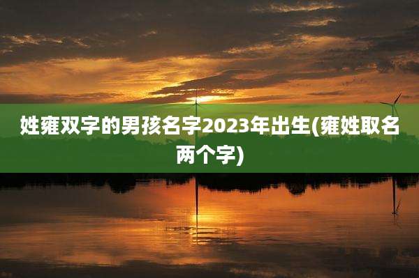 姓雍双字的男孩名字2023年出生(雍姓取名两个字)